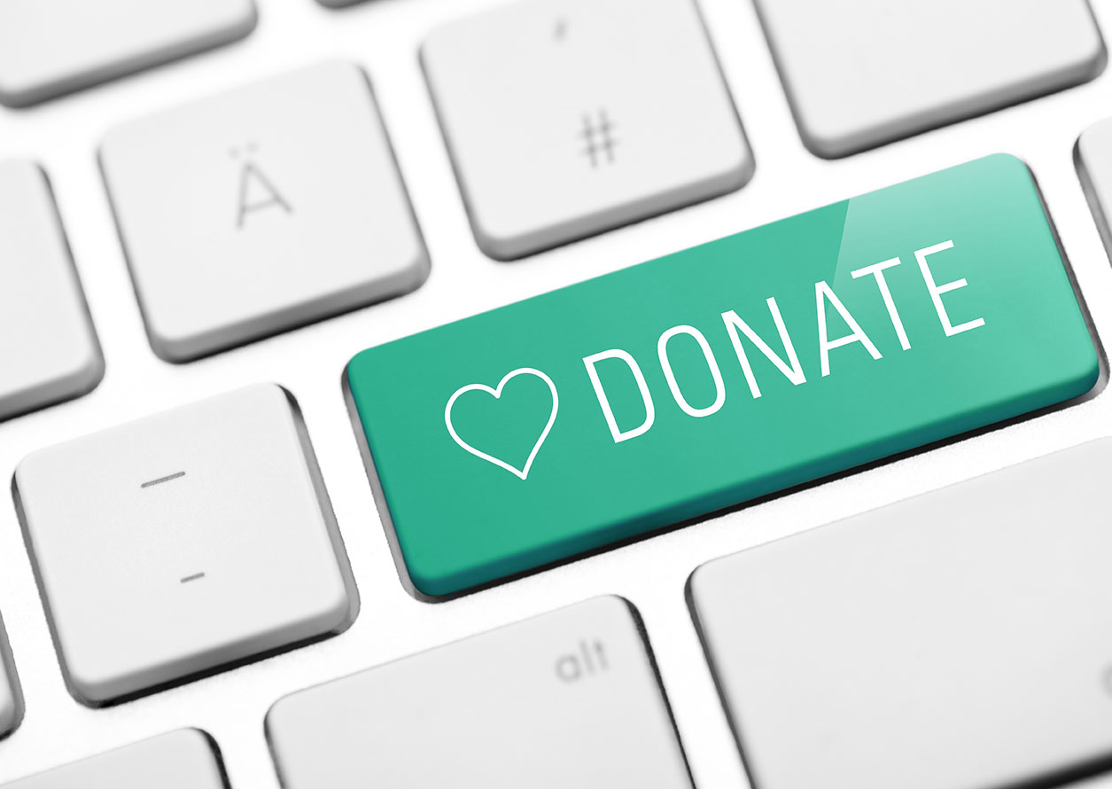 Donating for political campaigns using grassroots fundraising and online media