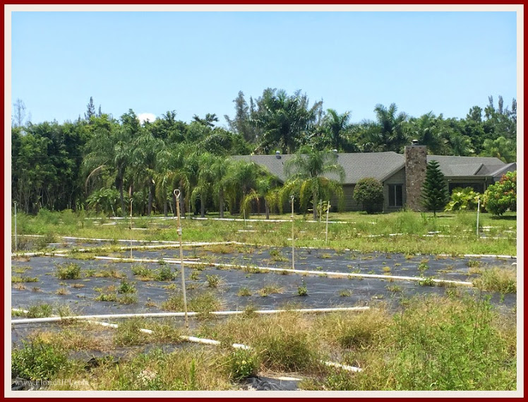 Lake Worth FL Heritage Farms Home For Sale