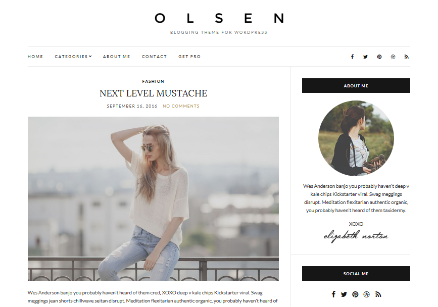 Tema WordPress Olsen Light