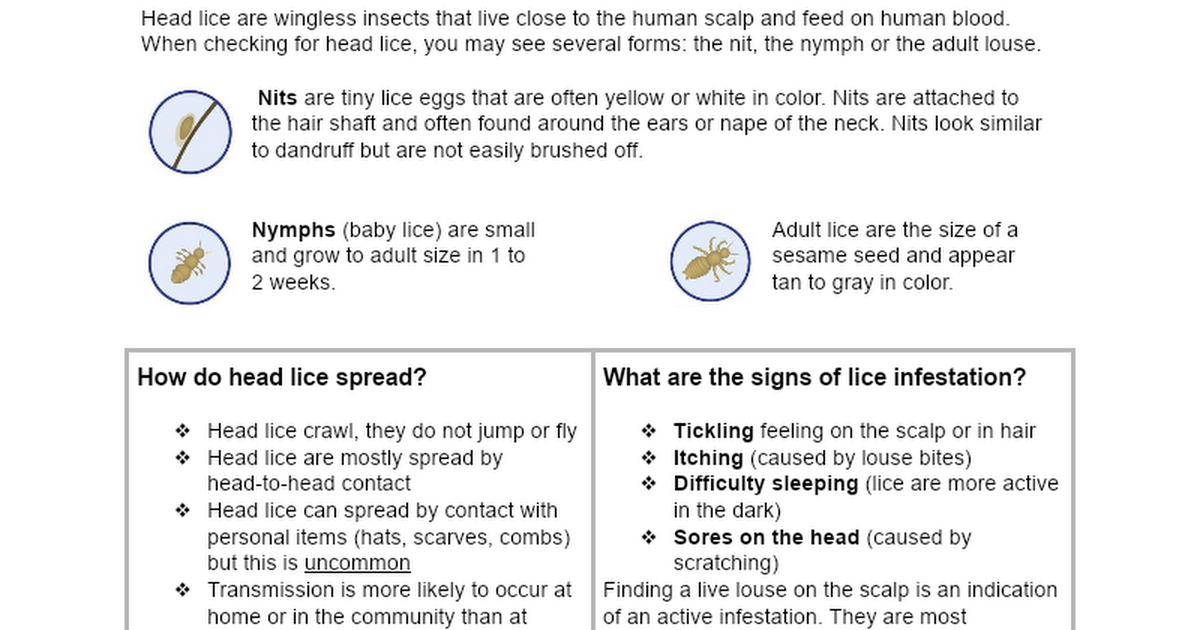 Wolves Den Family Guide for Head Lice Management