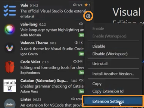 Image showing the steps to configure the vale extension. Also highlighting the fear icons and the extension settings.