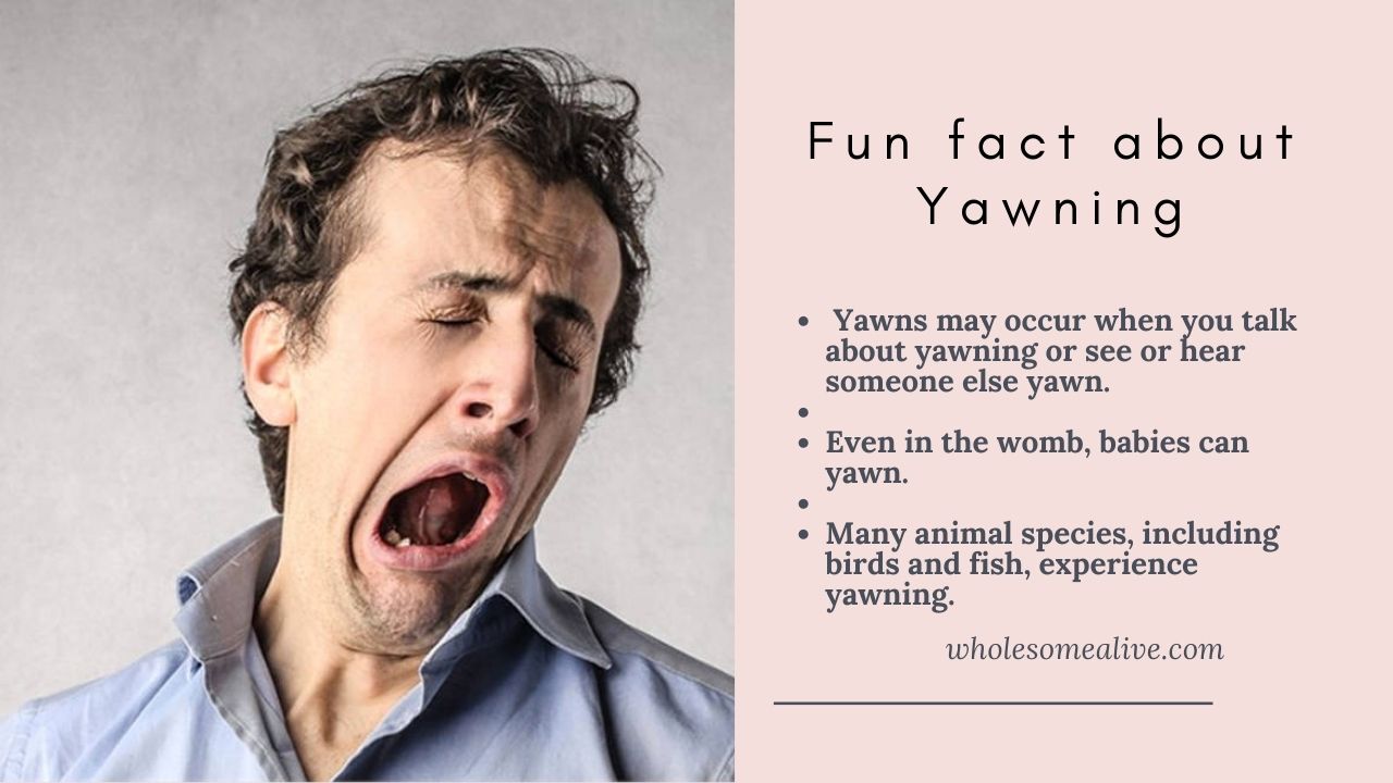 excessive-yawning-and-burping