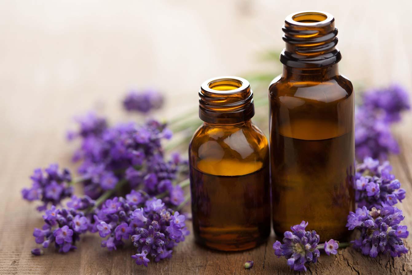 Tinh dầu oải hương là gì? Mọi điều cần biết về Lavender Essential Oil