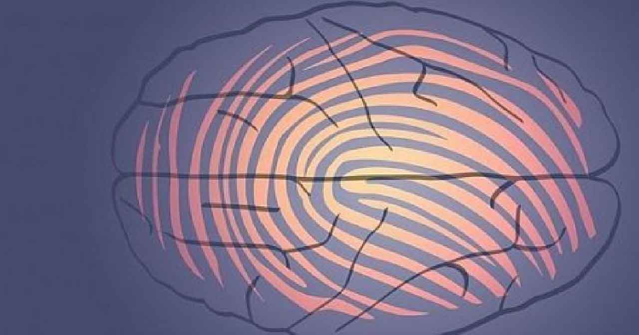Imagen editada de una huella dactilar en un cerebro humano.