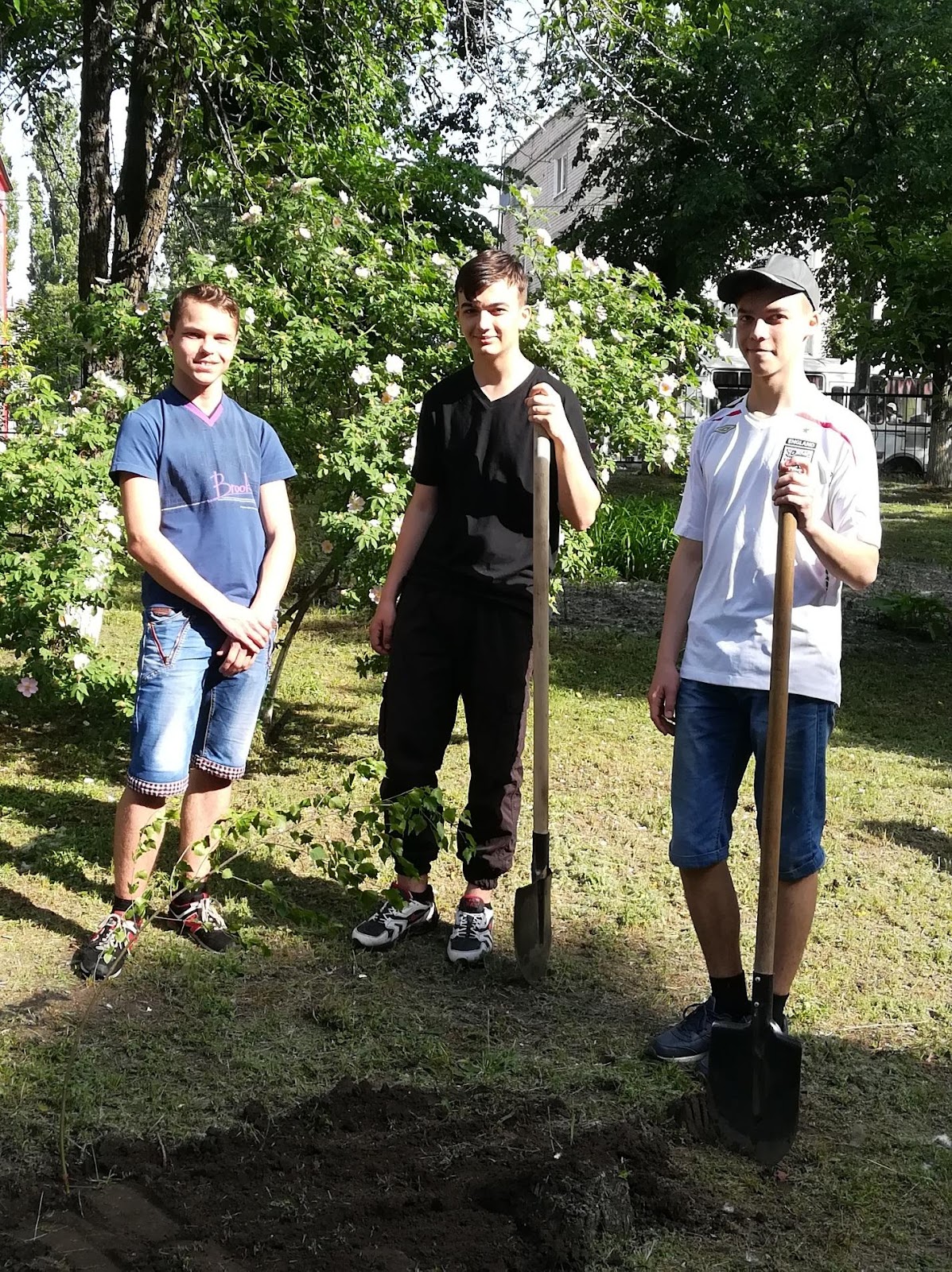 C:\Users\Admin\Desktop\на сайт\дерева\IMG_20190529_083522.jpg