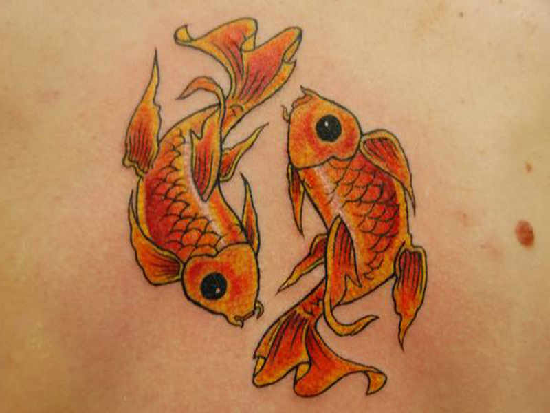 ลายสักปลาทองหลัง9