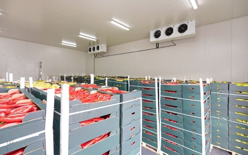 Những vấn đề thường gặp của kho đông lạnh và cách sửa chữa