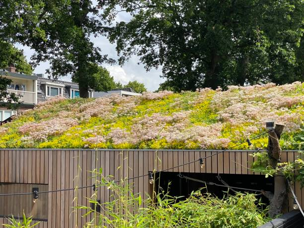 Eco-friendly Backyard Ideas Get A Green Roof | Barefoot Garden Design
