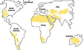 Image result for earth map deserts