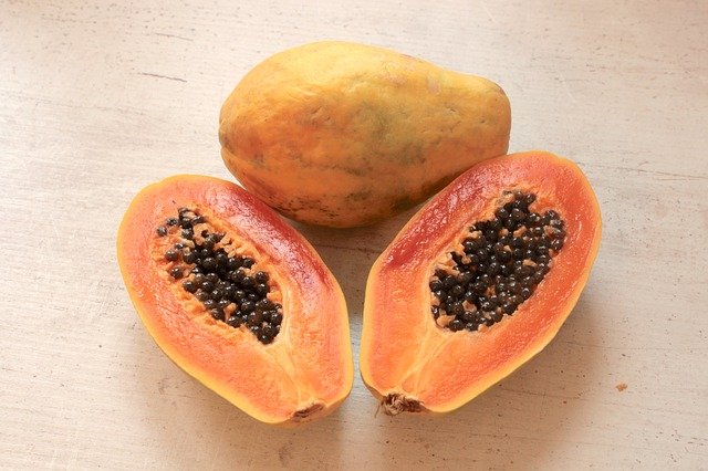 papaya scientific name