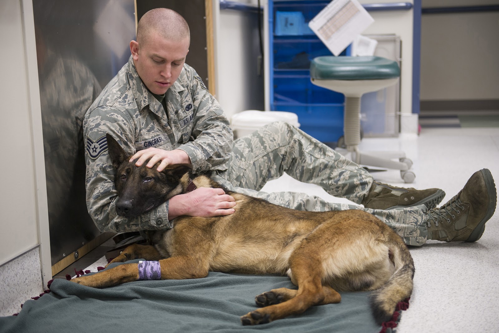 MWD dental appointment becomes joint-service learning experience ...