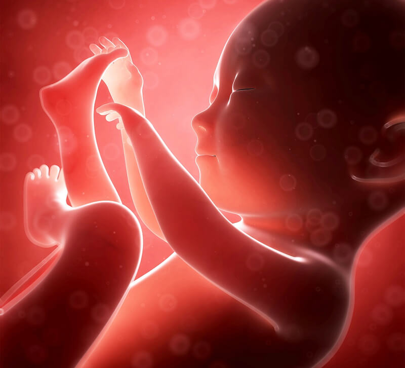 Mẹ bầu bị sốt gây ảnh hưởng đến thai nhi
