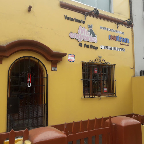 Veterinaria Mis Engreídos Pet Shop