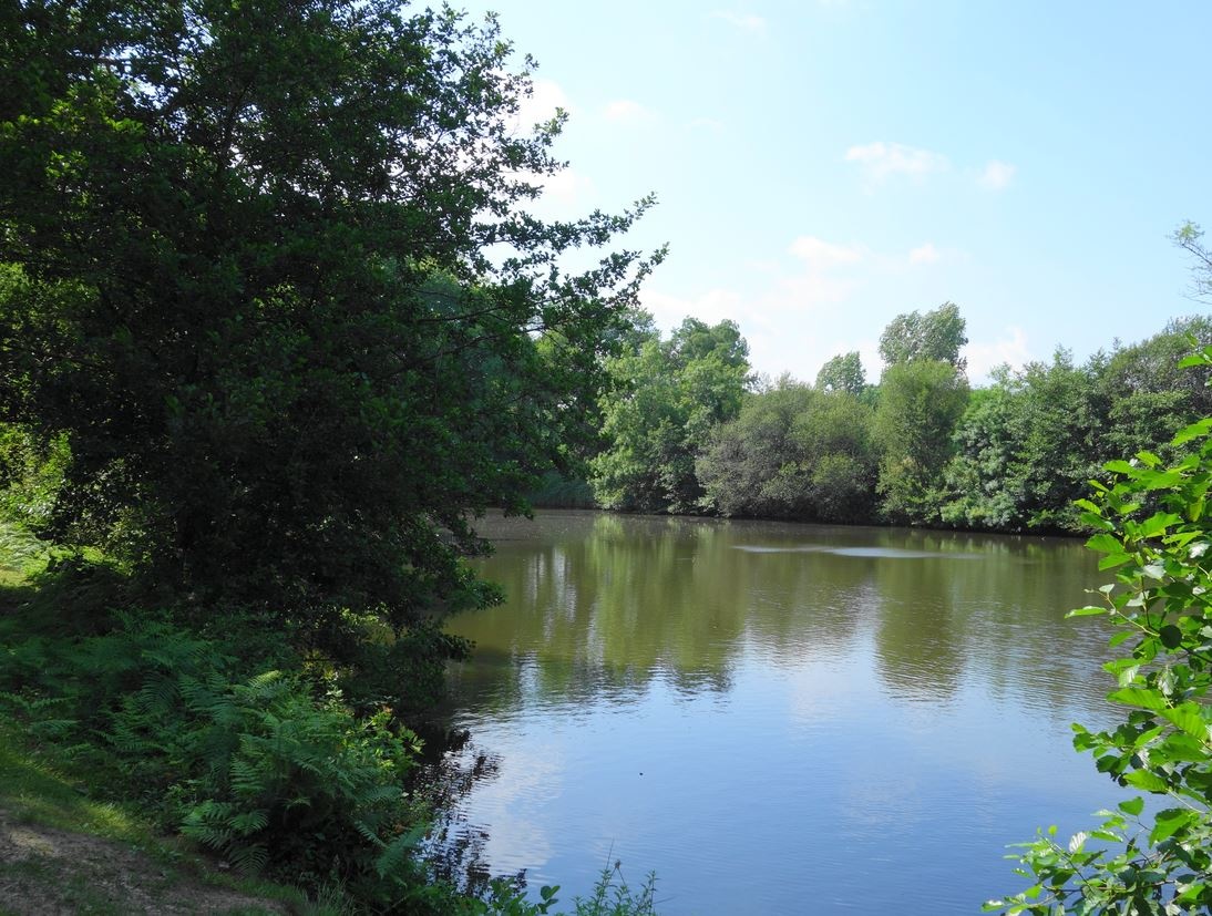 ob_f56630_1758.JPG