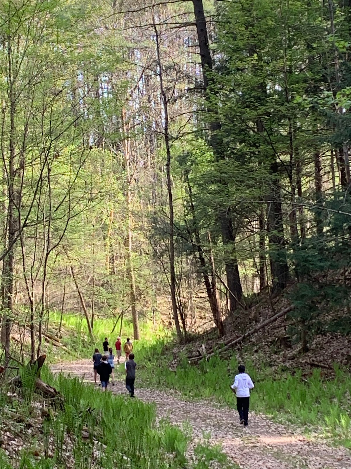 students out on the trail