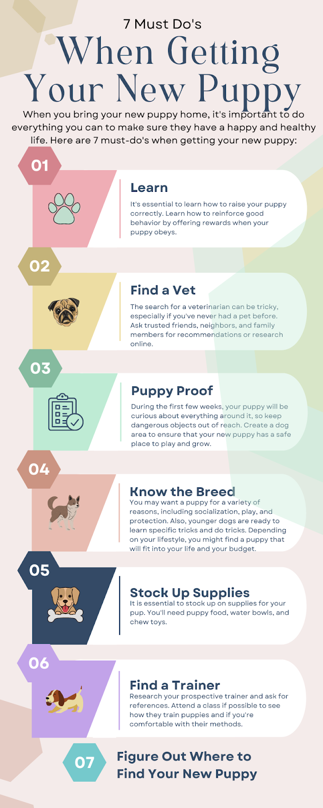 Must Do's When Getting Your New Puppy