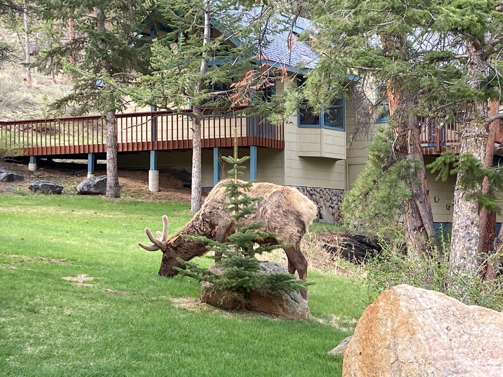 Estes Park Bed and Breakfast, 5 things to ask before checking in!