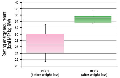 Resting energy requirements in cats before and after weight loss