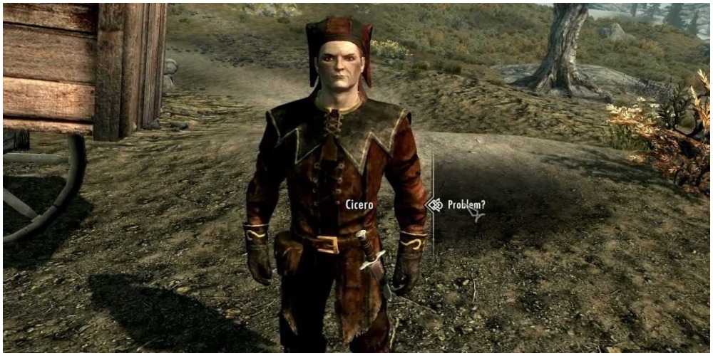 Cicero Good Skyrim Follower