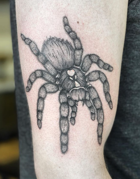 Fluffy Spider Tattoo
