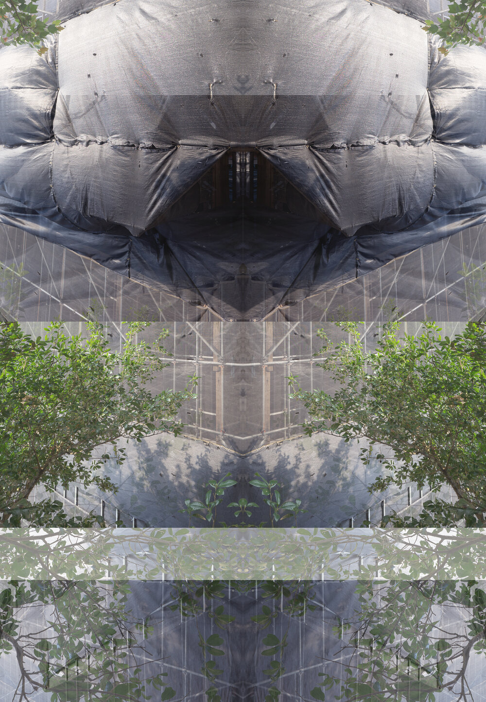 Expanding Monuments