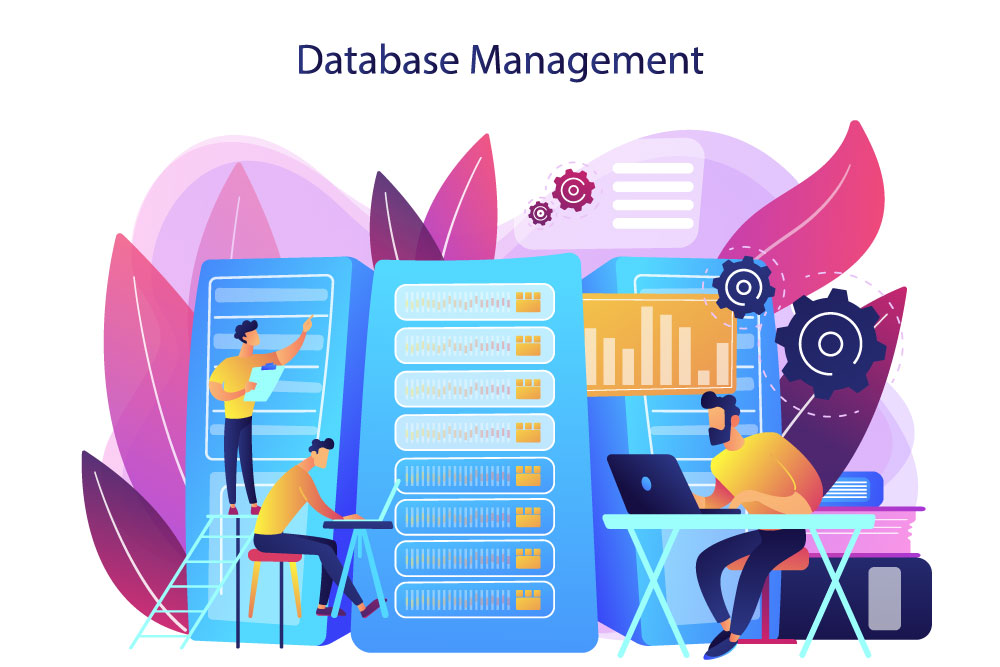 database management companies