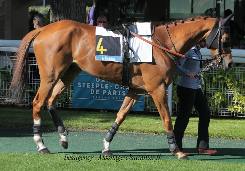 Photos Auteuil 17-05-2015 Journée du Grand Steeple - Page 2 3RYRQXCy5DQWB62uRUD1eBWSkhH3DjCwDZAMhnjlh1H8=w800-h560-no