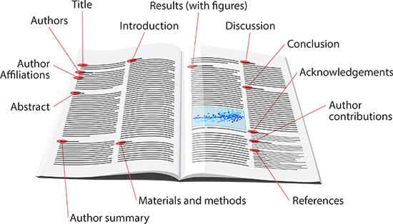 Image of a anatomy of a scholarly article.