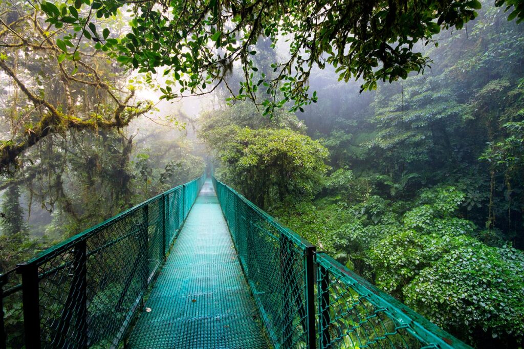 Discover incredible hanging bridges on a heart-pounding Costa Rican adventure!
