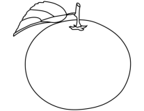 Naranja Dibujo para colorear | Naranja dibujo, Frutas para colorear,  Dibujos de frutas
