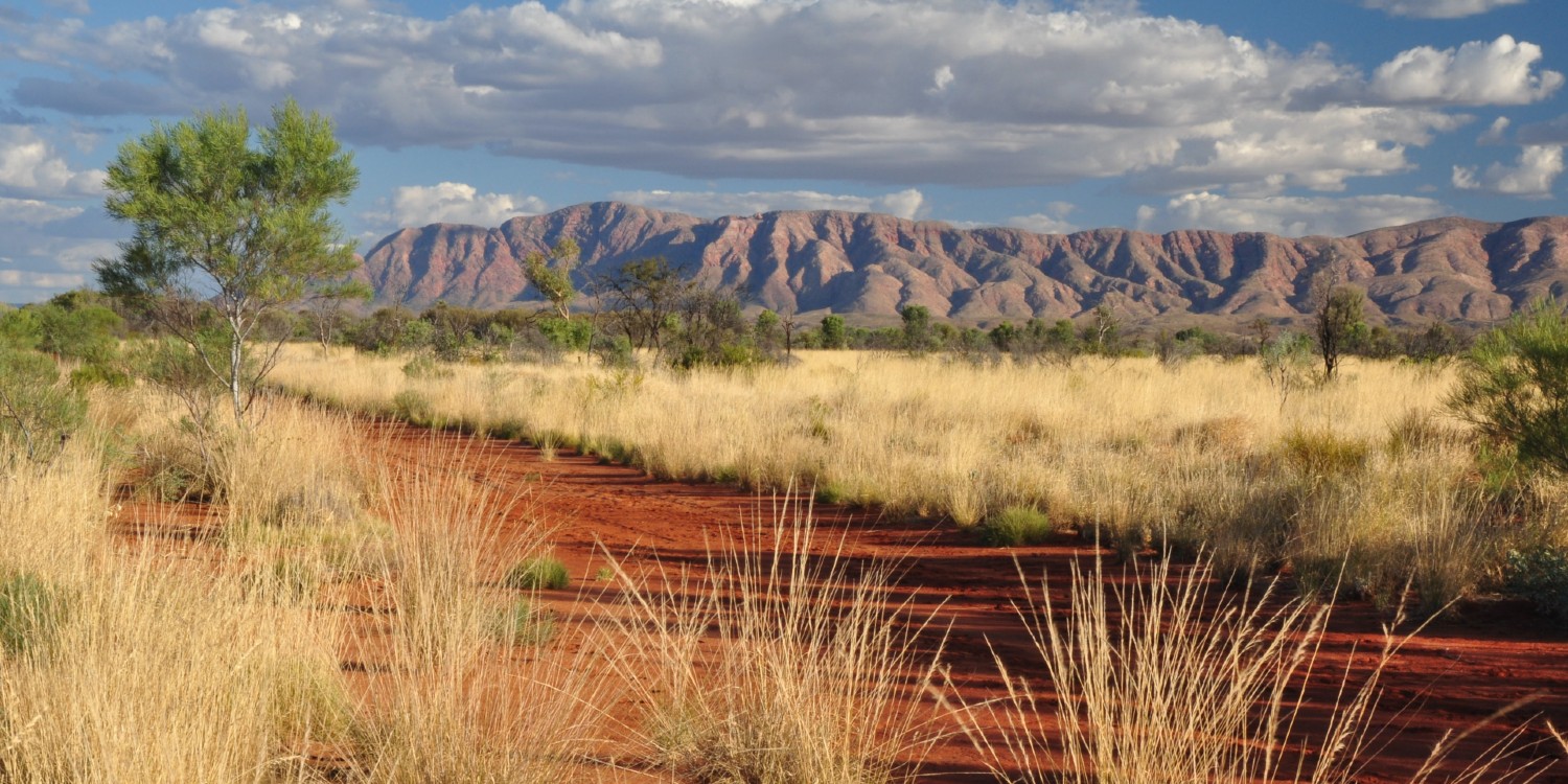semi-arid grasslands and a view of the mountains