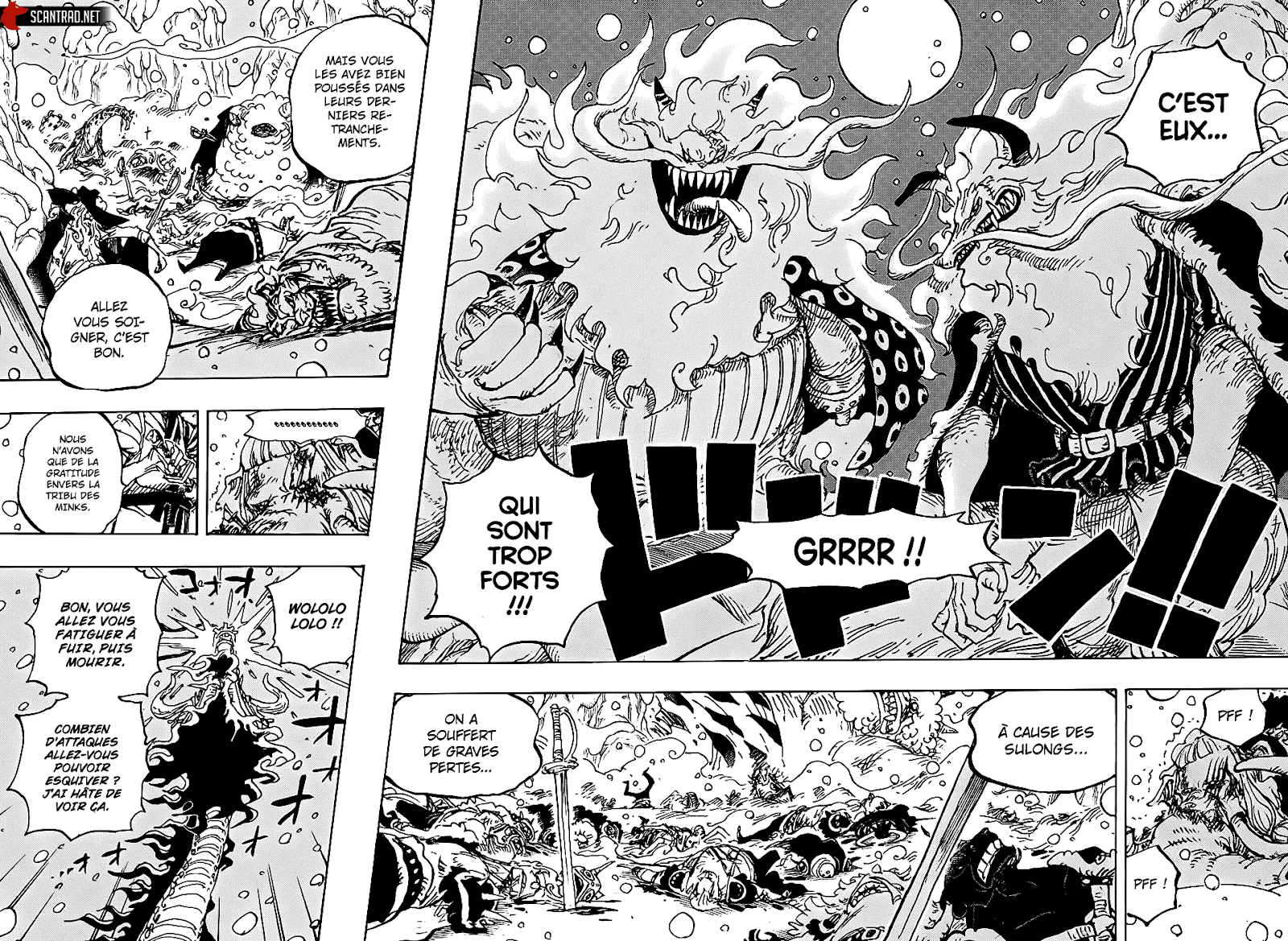 One Piece: Chapter 991 - Page 14