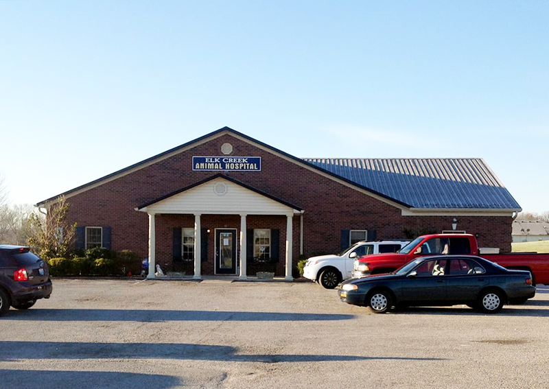 Elk Creek Animal Hospital