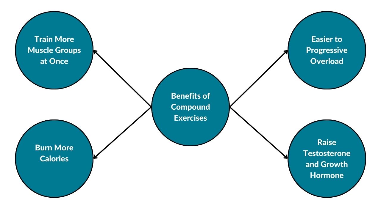 The image shows the benefits of compound exercises, which include training more muscle groups at once, progressive overload, burning more calories, and raising your testosterone and growth hormone levels.