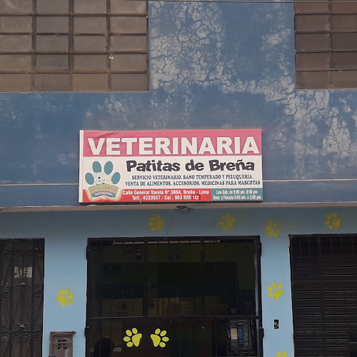 Opiniones de Veterinaria Patitas de Breña en Breña - Veterinario