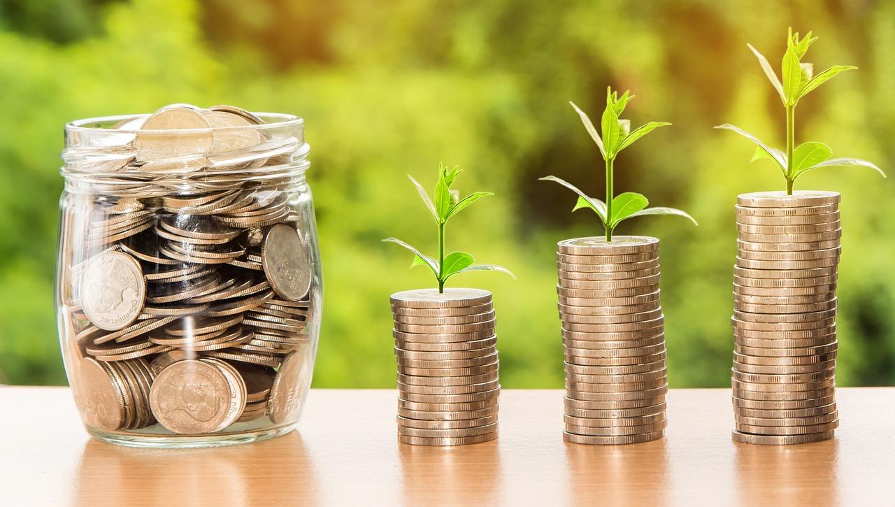 Free Money Profit photo and picture