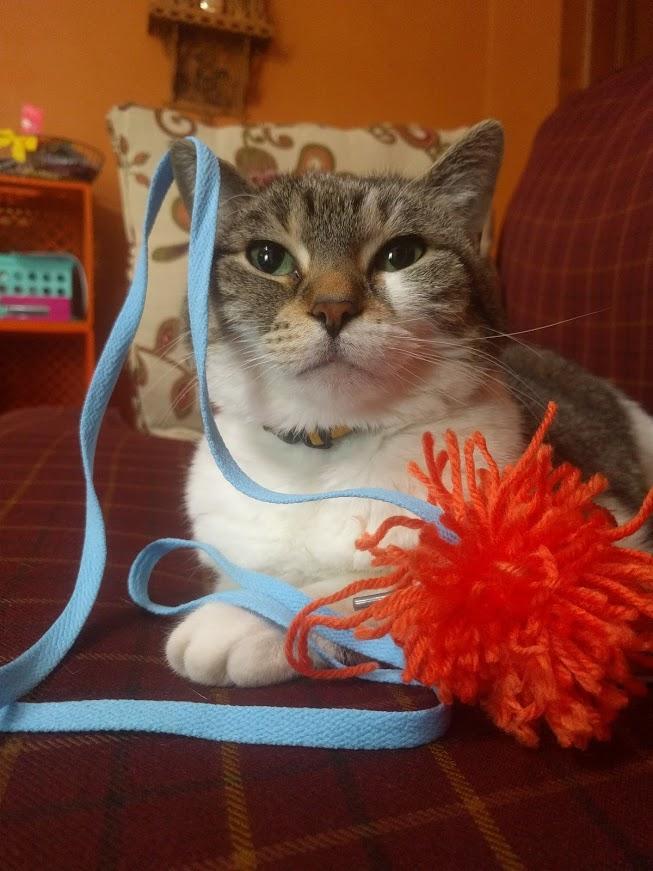 DIY Cat Toys With Yarn
