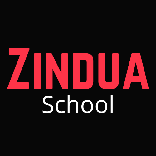 Zindua Logo | Comparing Zindua vs Moringa vs ALX