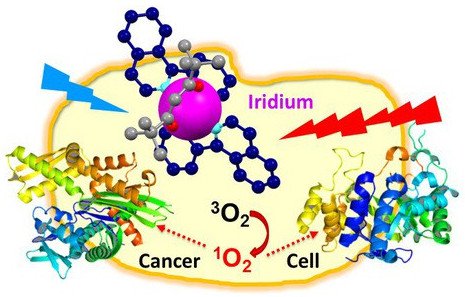 Iridium biến phân tử oxy thành dạng oxy nguyên tử, gây độc tính cực kỳ mạnh.