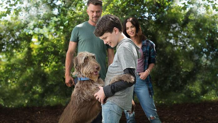 5. THINK LIKE A DOG  2