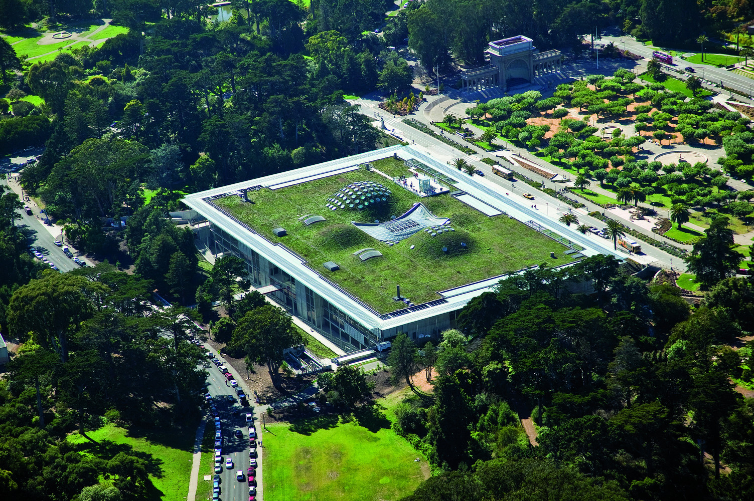 telhados verdes pelo mundo - Academia de Ciências de Califórnia Renzo Piano
