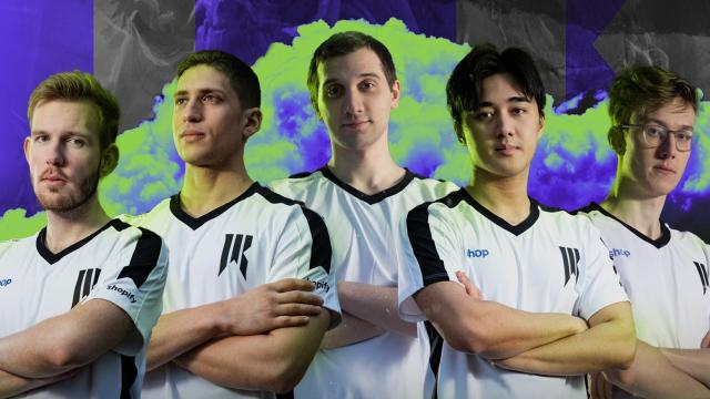 Image of a Professional Team for Dota 2