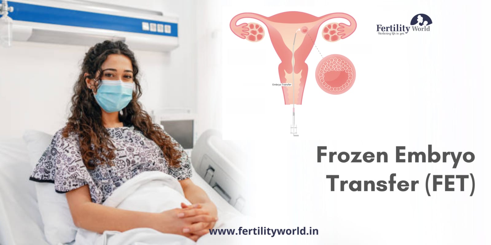 Frozen Embryo Transfer (FET)