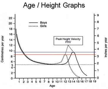 Image result for growth spurts in males and females graph