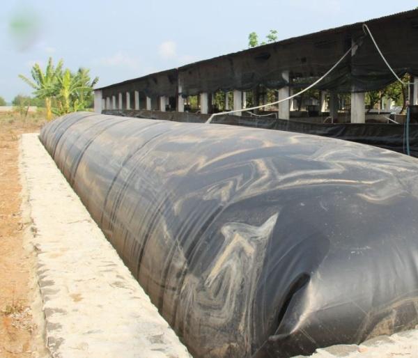 Hầm cất biogas bọc bằng bạt HDPE giúp chặn đứng mùi hôi ra môi trường thiên nhiên