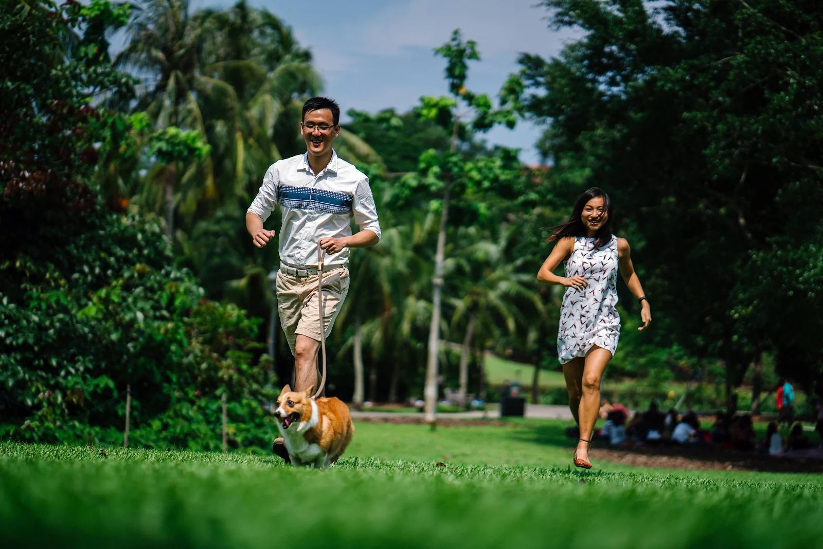 when can puppies go to the dog park
