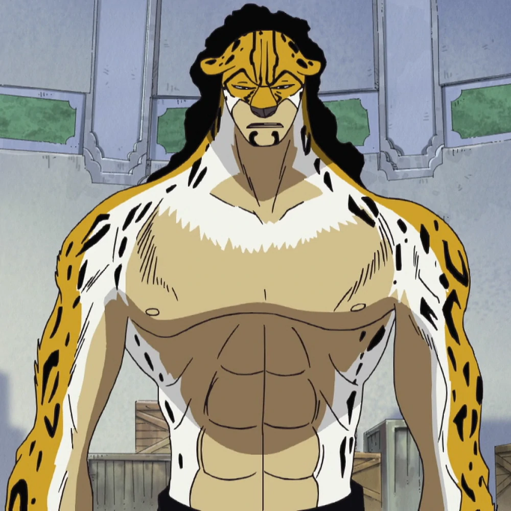 Neko Neko no Mi, Modelo: Leopardo, One Piece Wiki
