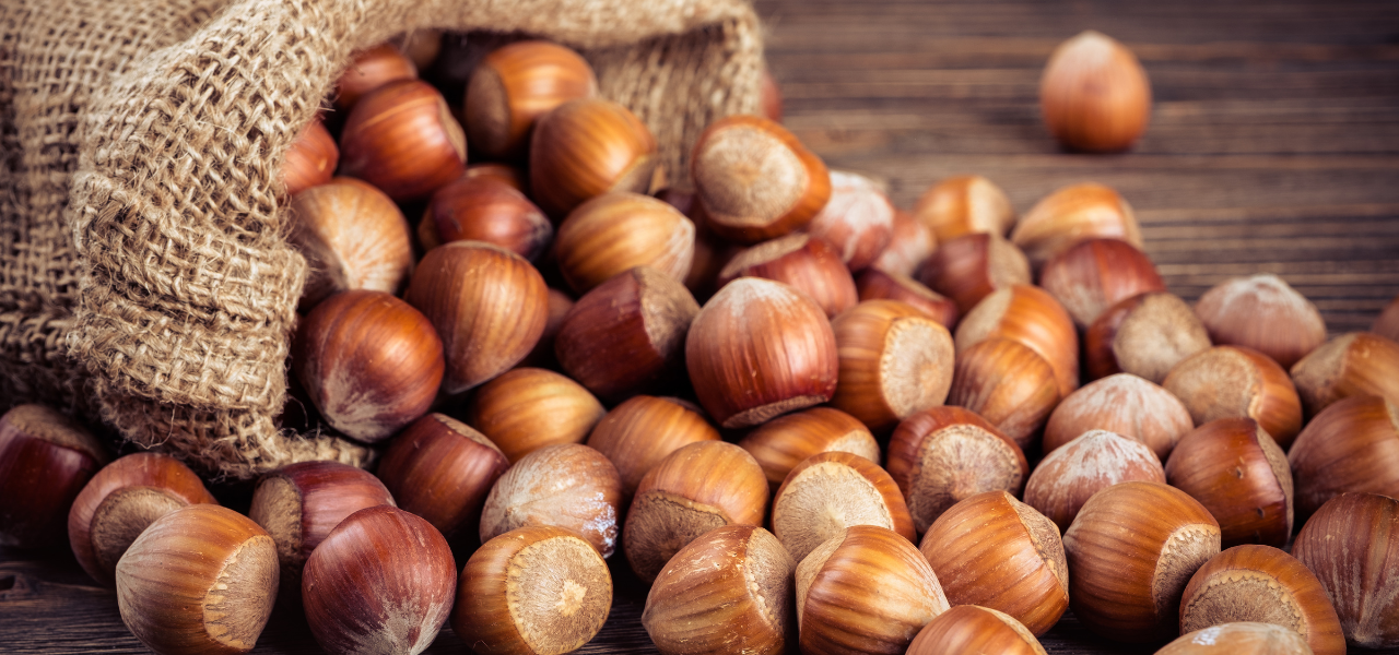 Can Dogs Eat Hazelnuts? Pet Care Advisors