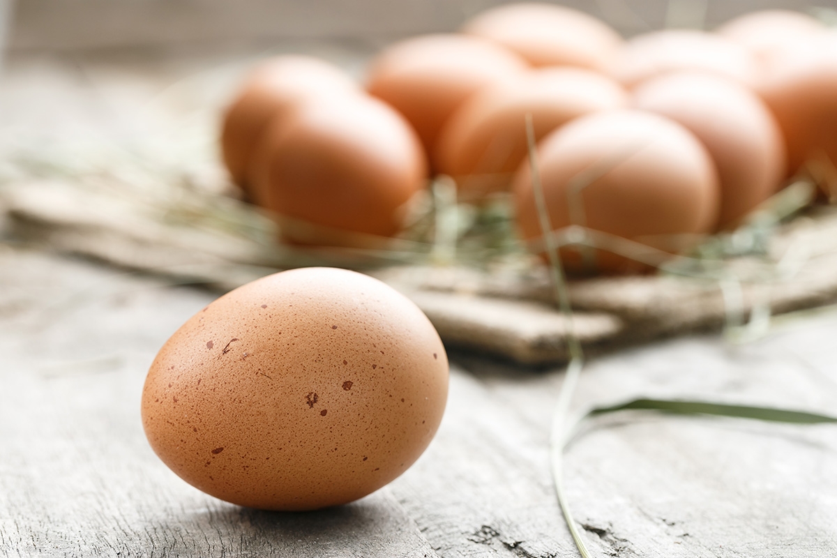  เลือกใช้ไข่เพื่อรับไขมันที่ดีต่อสุขภาพในราคาถูก