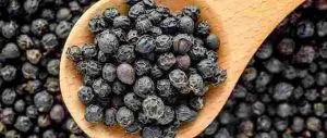 Milagu benefits in Tamil